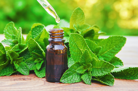 Peppermint Oil. Foto: Shutterstock