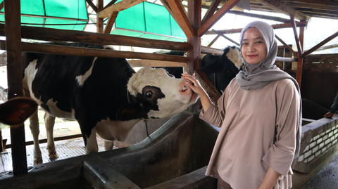 Frisian Flag Gelar Program untuk Optimalkan Peran Peternak Perempuan