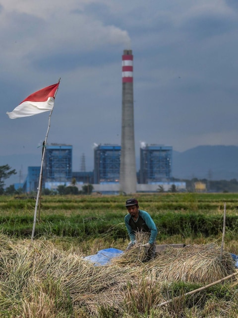 Petani memanen padi miliknya dengan latar belakang pembangkit listrik di Ciletuh, Pelabuhan Ratu, Sukabumi, Jawa Barat. Foto: Muhammad Adimaja/Antara Foto
