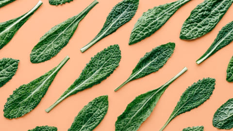 Ilustrasi Kale Foto: Shutterstock/SEEDJAN