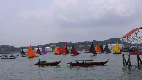 Tradisi unik Lomba Sampan Layar, Batam. Foto: Yunianti Jannatun Naim/ANTARA