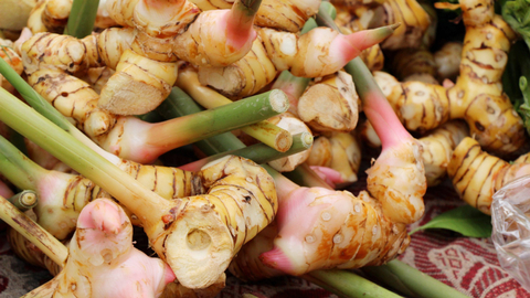 Ilustrasi lengkuas. Foto: Shutterstock