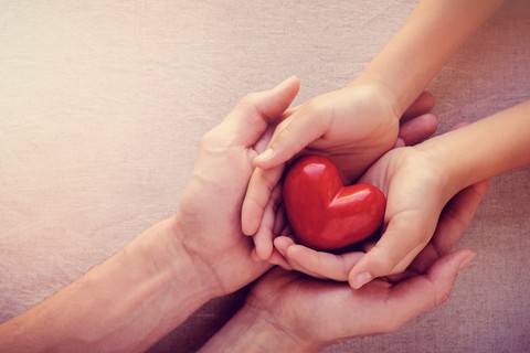 Ilustrasi donor darah. Foto: Shutterstock