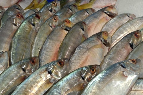 Ilustrasi ikan asin. Foto: Jamal Ramadhan/kumparan