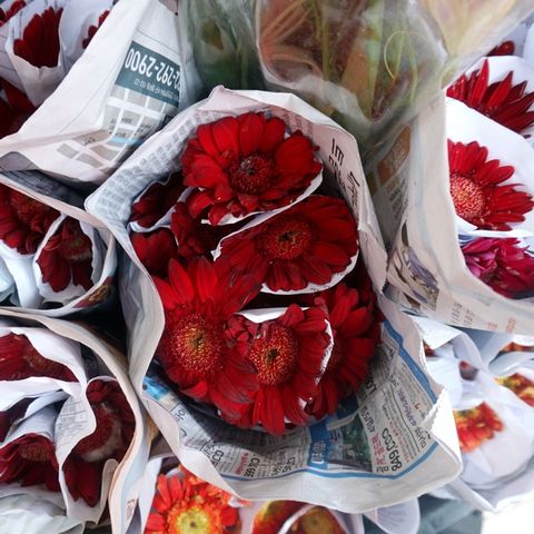 10 Lagu Valentine Yang Paling Banyak Muncul Di Playlist Spotify Bertema Cinta Kumparan Com 10 Lagu Valentine Yang Paling Banyak Muncul Di Playlist Spotify Bertema Cinta Kumparan Com
