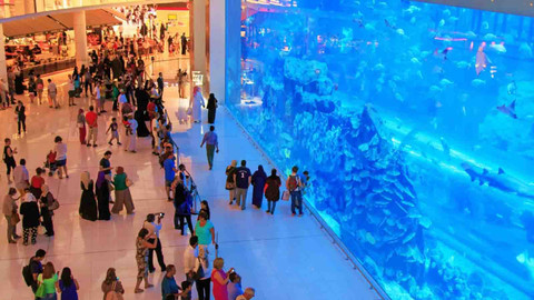 Ilustrasi Dubai Aquarium. Foto: Shutter Stock