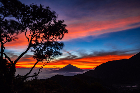 Merekam Cerita dan Keindahan Gunung Papandayan (7)