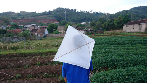 Jamal Ramadhan/kumparan