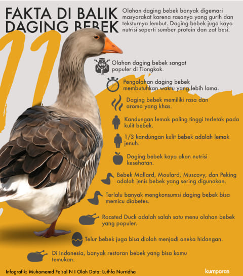 11 Fakta Di Balik Gurihnya Daging Bebek Kumparan Com