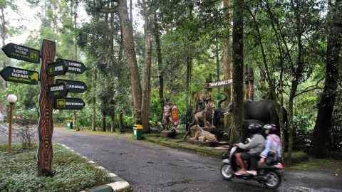 Pengendara motor melewati area parkir saat penutupan Taman Safari Indonesia (TSI) Cisarua, Kabupaten Bogor, Jawa Barat. Foto: ANTARA FOTO/Arif Firmansyah
