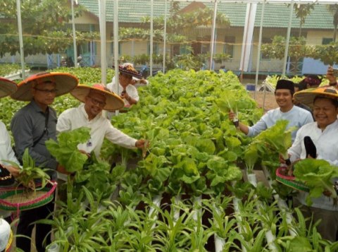 Nanda Ginanjar Praktisi Hidroponik Inspiratif Pembina Ekonomi