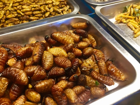 Ulat Sagu Goreng Foto: Mela Nurhidayati/kumparan