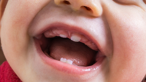 Ilustrasi gigi bayi. Foto: Shutter Stock