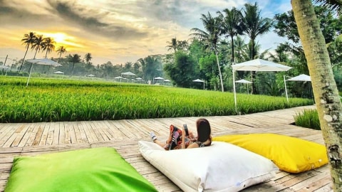 Svargabumi, destinasi wisata Instagramable baru di Borobudur Foto: Instagram @svargabumi
