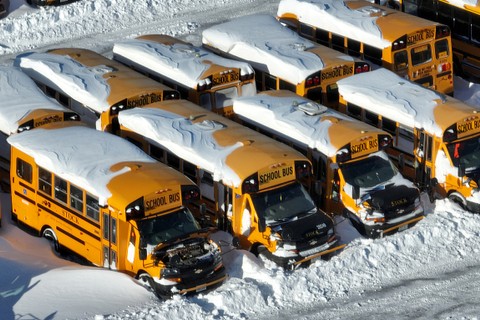Sejumlah bus sekolah yang diselimuti salju terparkir di Stock Transportation di Scarborough, Ontario, Kanada, Selasa (18/1/2022). Foto: Chris Helgren/REUTERS