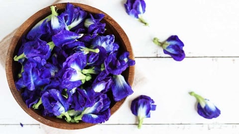 Benarkah Bunga Teleng Bisa Menjernihkan Mata Bayi Kumparan Com