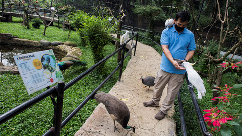 Pekerja memberi makan berbagai jenis burung di Kebun Binatang Bandung (Bandung Zoological Garden), Bandung, Jawa Barat, Sabtu (27/6).  Foto: M Agung Rajasa/ANTARA FOTO