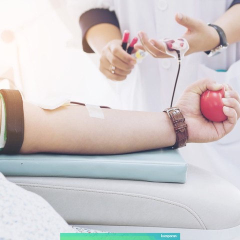 Ilustrasi donor darah. Foto: Shutterstock
