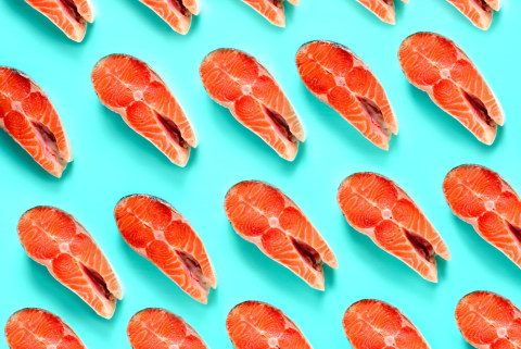Ilustrasi salmon Foto: Shutterstock
