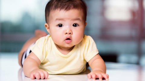 Ilustrasi bayi merayap Foto: Shutterstock
