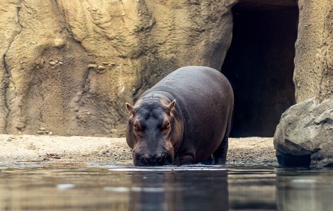 Contoh Kenampakan Alam Dan Kenampakan Buatan Yang Ada Di Indonesia Kumparan Com