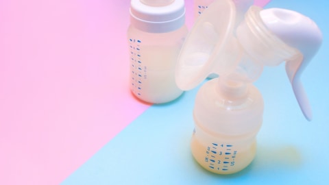 ASI Perah Foto: Shutterstock