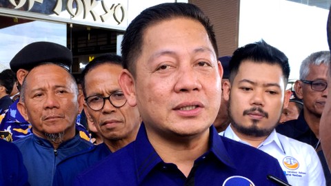 Ketua DPW NasDem Sulsel, Rusdi Masse Mappasesu. Foto: Rafyq Panjaitan/kumparan