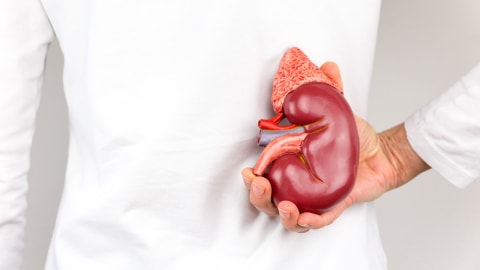 Cukup minum air dapat membantu menjaga kesehatan ginjal Foto: Thinkstock