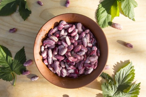 Manfaat Kacang Merah Untuk Mpasi Bayi Kumparan Com Manfaat Kacang Merah Untuk Mpasi Bayi Kumparan Com