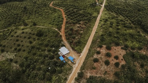 Deforestasi menjadi perkebunan kelapa sawit. Foto: Jamal Ramadhan/kumparan