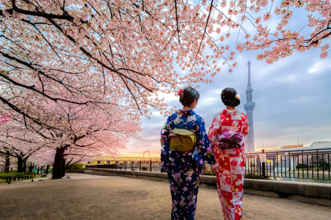Travelling ke Jepang Foto: Shutter Stock