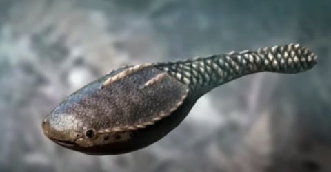 13 Hewan Purba Mengerikan Yang Untungnya Telah Punah