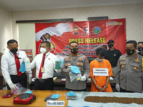 Home Industri Tembakau Gorila Digerebek Polisi, 1 Pelaku Ditangkap