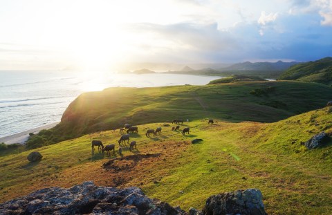 Panorama alam Bukit Merese, Lombok Foto: Shutter Stock