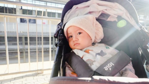 Travelling Nyaman Dengan Stroller Joie Litetrax 4 Flex Signature Kumparan Com