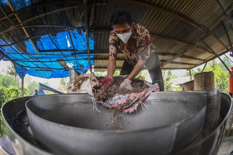 La Yapi (52) memasukan cengkeh kering ke ketel di Dusun Kranjang, Desa Wayame, Kecamatan Teluk Ambon, Kota Ambon, Provinsi Maluku. Foto: ANTARA FOTO/Galih Pradipta