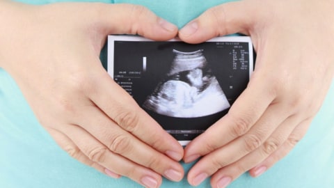 Ilustrasi janin atau bayi di dalam kandungan. Foto: Shutterstock