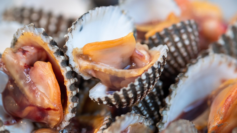 Bolehkah Ibu Hamil Makan Kerang? (2)