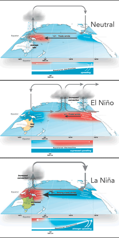Dampak El Nino Dan La Nina Terhadap Kemaritiman Dan Pelayaran Indonesoa Kumparan Com Dampak El Nino Dan La Nina Terhadap Kemaritiman Dan Pelayaran Indonesoa Kumparan Com