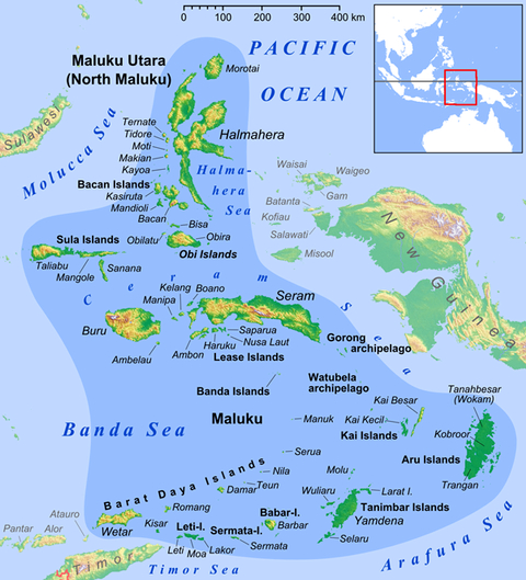 Fakta Ketinggian Gunung Api Wetar 5.000 Meter: Gunung Api Tertinggi di Indonesia (7)