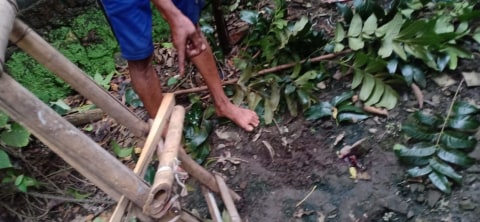 Warga Gunungkidul Tewas Terjatuh dari Pohon saat Cari Pakan Ternak