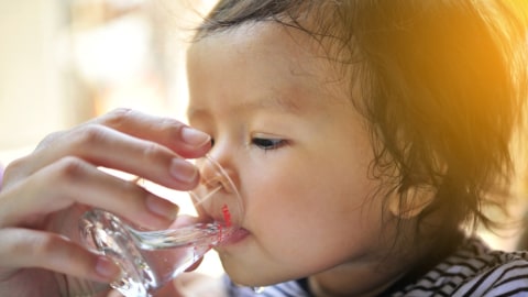 Ilustrasi anak minum air putih. Foto: Shutterstock