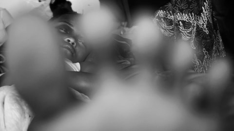 Bencana Keseimbangan Ekosistem Dan Ekologi Politik Kumparan Com