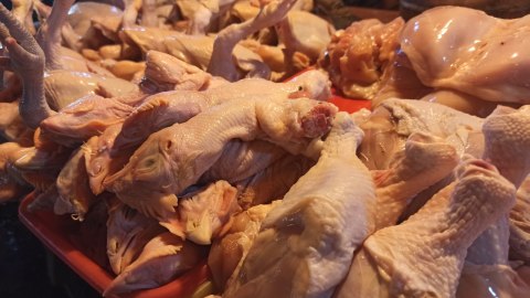 Ilustrasi daging ayam. Foto: Helmi Afandi Abdullah/kumparan