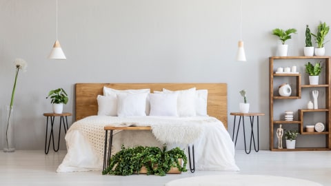 Ilustrasi dekorasi tanaman di kamar tidur.  Foto: Shutterstock