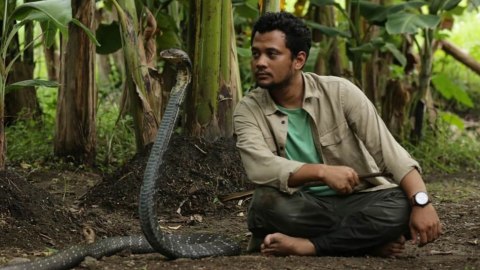 Panji Petualang. Foto: Instagram @panjipetualang_real