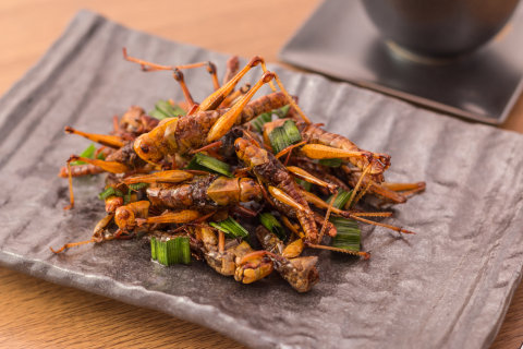belalang goreng Foto: Shutterstock