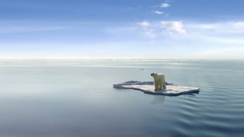 Ilustrasi global warming. Foto: Shutterstock