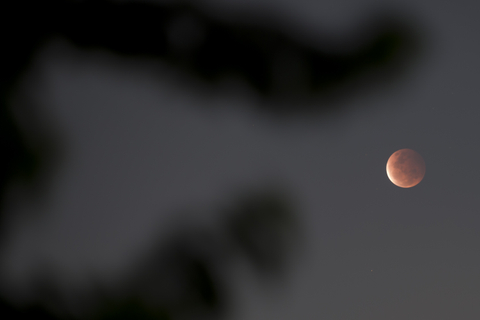 Fase gerhana bulan total Perige (Super Blood Moon) terlihat dari kawasan Kota Tangerang, Banten, Rabu (26/5/2021).  Foto: Widodo S Jusuf/ANTARA FOTO