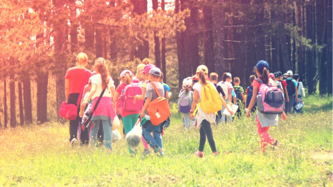 Ilustrasi sekolah alam Foto: Shutterstock